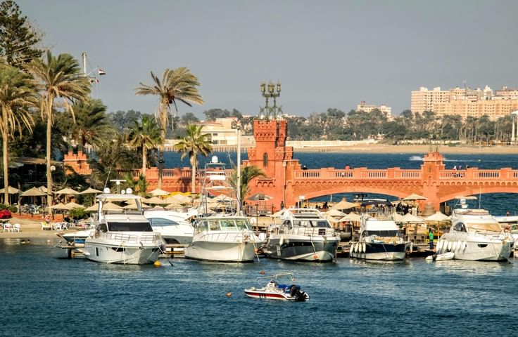 2025 Hero for Alexandria Egypt - Spark